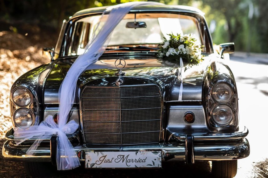 WhatsApp Image 2023-01-12 at 17.00.31.jpeg